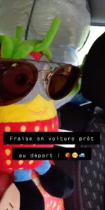 Les aventures de Fraise en voyage !